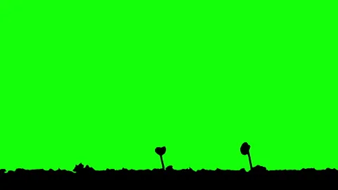Silhouette Growing Plants Time Lapse on green background. Stock Footage 337602820