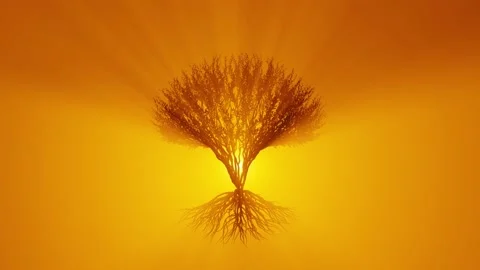 Silhouette of growing tree with roots. Sun rays shining through the tree. Eco Stock Footage 140822834