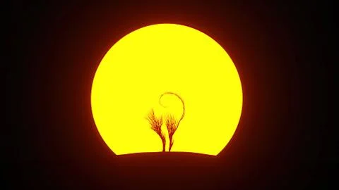 Silhouette of growing tree in a shape of a cat. Eco Concept. Stock Photos