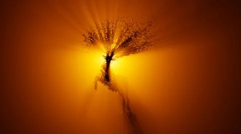 Silhouette of growing tree in a shape of a deer. Sun rays shining through the Stock Illustration