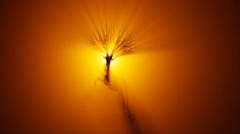 Silhouette of growing tree in a shape of a deer. Sun rays shining through the Stock Illustration