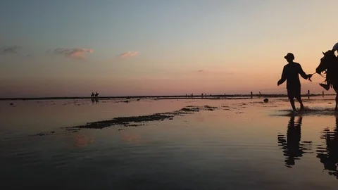 Silhouette of a guide walking and a kid riding a horse in the sunset Stock Footage 90443436