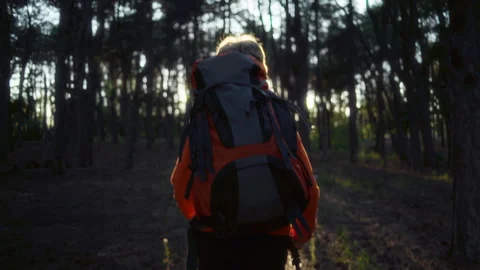 Silhouette of a guy with a backpack and poles walking through the forest to Stock Footage 302081943