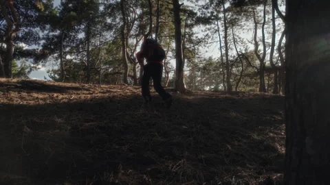 Silhouette of a guy with a backpack climbing up a slope in a pine forest Stock Footage 302082592