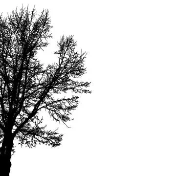 Silhouette of half tree with bare branches. Vector illustration Stockillustratie