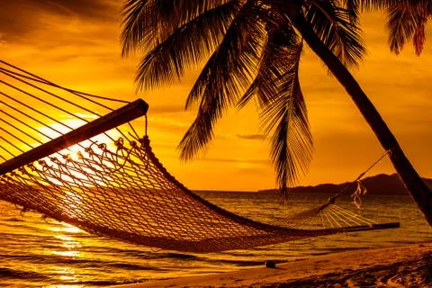 Silhouette of hammock and palm trees on a beach at sunset Stock Photos
