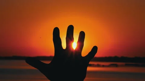 Silhouette of a Hand Against the Backdrop of a Sunset Stock Footage 250241519