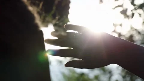 Silhouette Hand Reaching Towards Sunlight Stock Footage 346029393