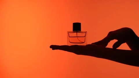Silhouette of Hands Holding a Perfume Bottle Stock-Footage 313521293