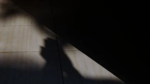 Silhouette of Hands in a Prayer Gesture on a Sunlit Tile Floor Stock Footage 346187602