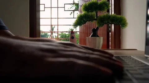 Silhouette of Hands Typing with Bonsai in Background Stock Footage 320725616