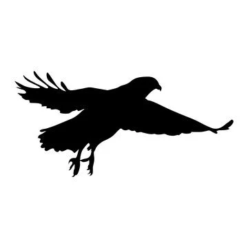 Silhouette of a Hawk in Flight, Wings Spread Wide, Isolated on White Background Stock Illustration