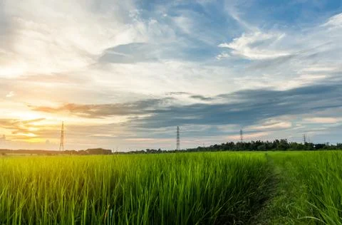 Silhouette of high voltage electrical pole structure Stock Photos