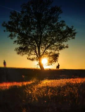 Silhouette hill Stock Photos