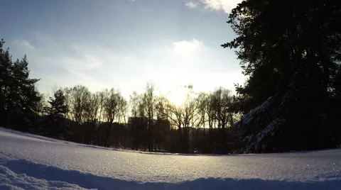 Silhouette of horses close to camera in soft snow Stock Footage 59959354