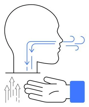 Silhouette of a human head with arrows indicating the respiratory pathway and Stock Illustration