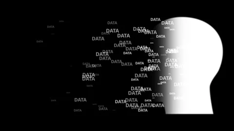 Silhouette of Human Head with Floating Data on Black Background Stock Footage 338192266