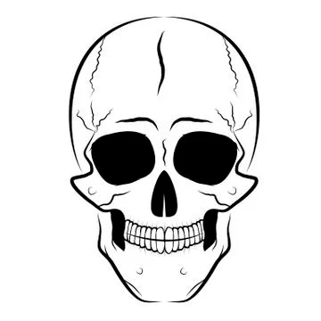 Silhouette of human skull Stock Illustration
