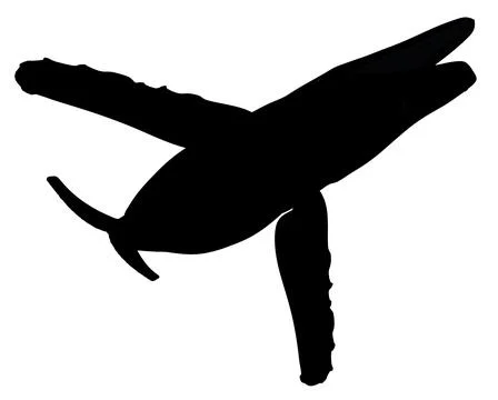 Silhouette of a humpback whale Stock Illustration