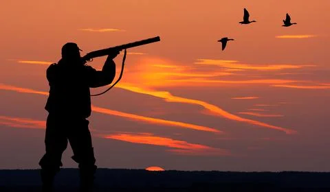 The silhouette of a hunter on sunset background Stock Photos