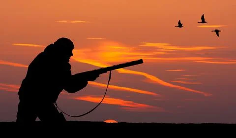 The silhouette of a hunter at sunset Stock Photos