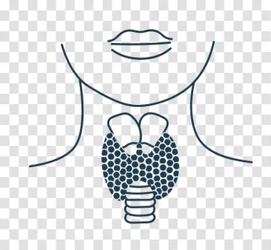 Silhouette icon of thyroid structure Stock Illustration