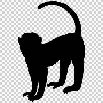 Silhouette illustration of Toque macaque Stock Illustration
