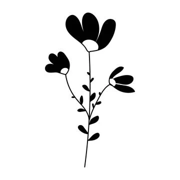 Silhouette image of chamomile. Vector illustration of a flower. Flowers and Stock Illustration