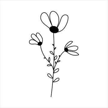 Silhouette image of chamomile. Vector illustration of a flower. Flowers and Illustrazione stock
