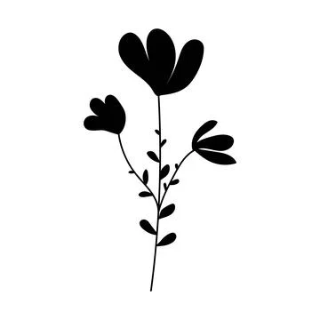 Silhouette image of chamomile. Vector illustration of a flower. Flowers and Stock Illustration