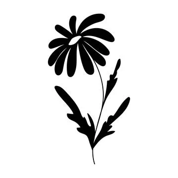 Silhouette image of chamomile. Vector illustration of a flower. Flowers and Illustrazione stock