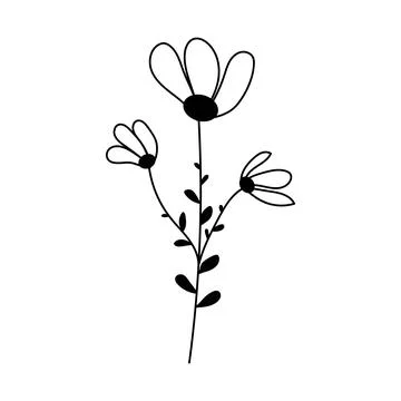 Silhouette image of chamomile. Vector illustration of a flower. Flowers and Stock Illustration
