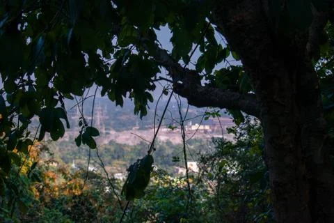 Silhouette image of a tree in the foreground captured from a top Stock Photos