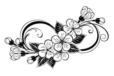 Silhouette infinity with sakura Stock Illustration