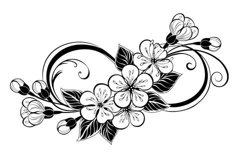 Silhouette infinity with sakura Stock Illustration