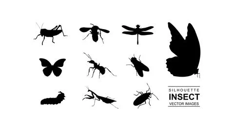 Silhouette insect vector set Stock Illustration