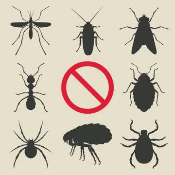 Silhouette insects set Stock-Illustration