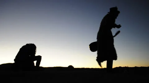 Silhouette Jam In Joshua Tree Vídeos de archivo 49588246