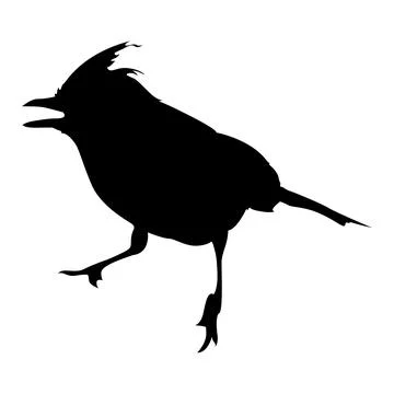 Silhouette of a Jay bird in motion on a white background Stock Illustration