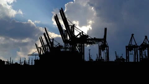Silhouette of Large Container Cranes at the Hamburg Port Stock Footage 239884103