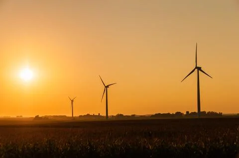 Silhouette of large wind turbine farm at sunset, Dexter, Minnesota, USA Stock Photos