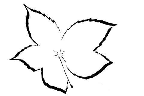 Silhouette leaf Stock Illustration