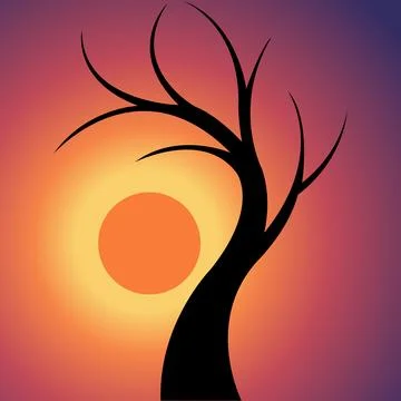 Silhouette of a leafless tree stands against an orange sun on sunset sky Illustrazione stock