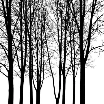 Silhouette of leafless trees against white sky in winter forest Stock Illustration