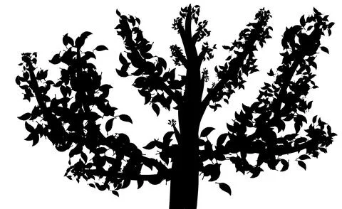 Silhouette of a leafy tree with thick branches, Dense foliage tree outline .. Stock Illustration