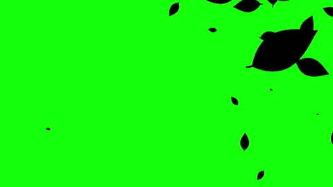 Silhouette of leaves falling on the green background. Stock Footage 338319691