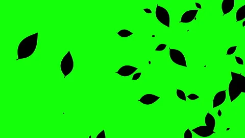 Silhouette of leaves falling on the green background. Stock Footage 338319692