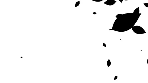 Silhouette of leaves falling on the white background. 스톡 동영상 338319869