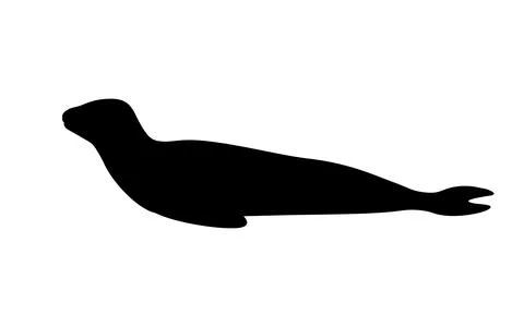 Silhouette leopard seal Stock Illustration