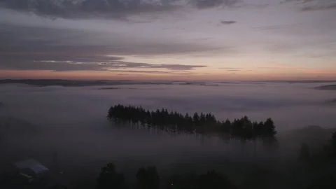 Silhouette line of pine trees in misty clouds Stock Footage 301316014